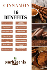 Horbiganix Cinnamon Powder For Weight Loss Dalchini Powder, Immunity Boosters, For Men & Women, Pure & Natural | 200gm 0.4lbs